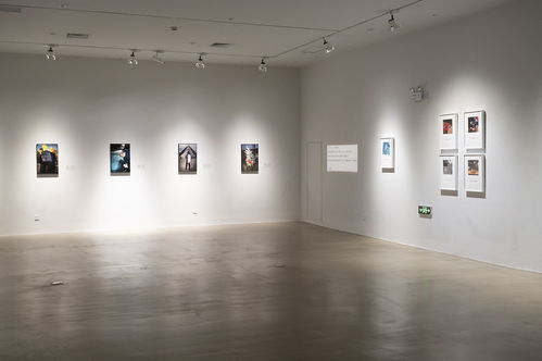 看展覽 15位中國攝影藝術家眼中的多彩法蘭西與禮儀服務